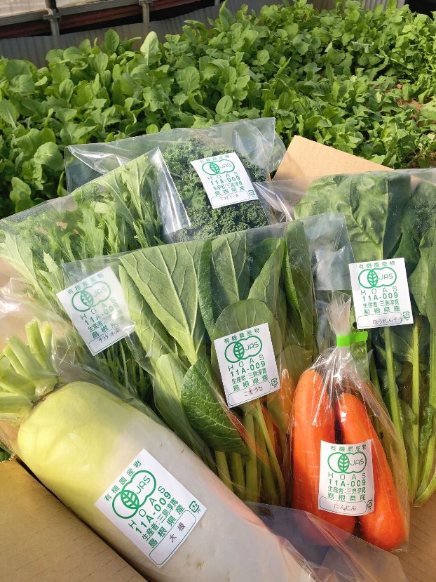 グリーンコープ 産直市場 / 【送料無料】島根県 三島ファーム 有機野菜セット６品目