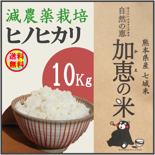 熊本県 ヒノヒカリ 10kg - 米/穀物
