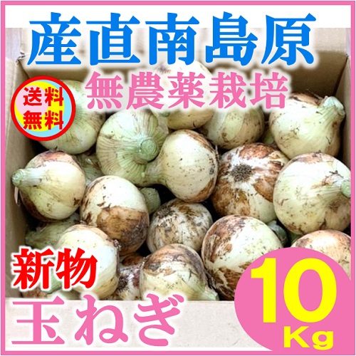 新玉ねぎ 農薬不使用 7kg