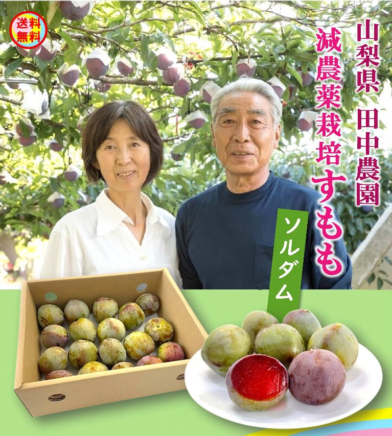 グリーンコープ 産直市場 / やまなし自然塾 田中農園 減農薬栽培すもも